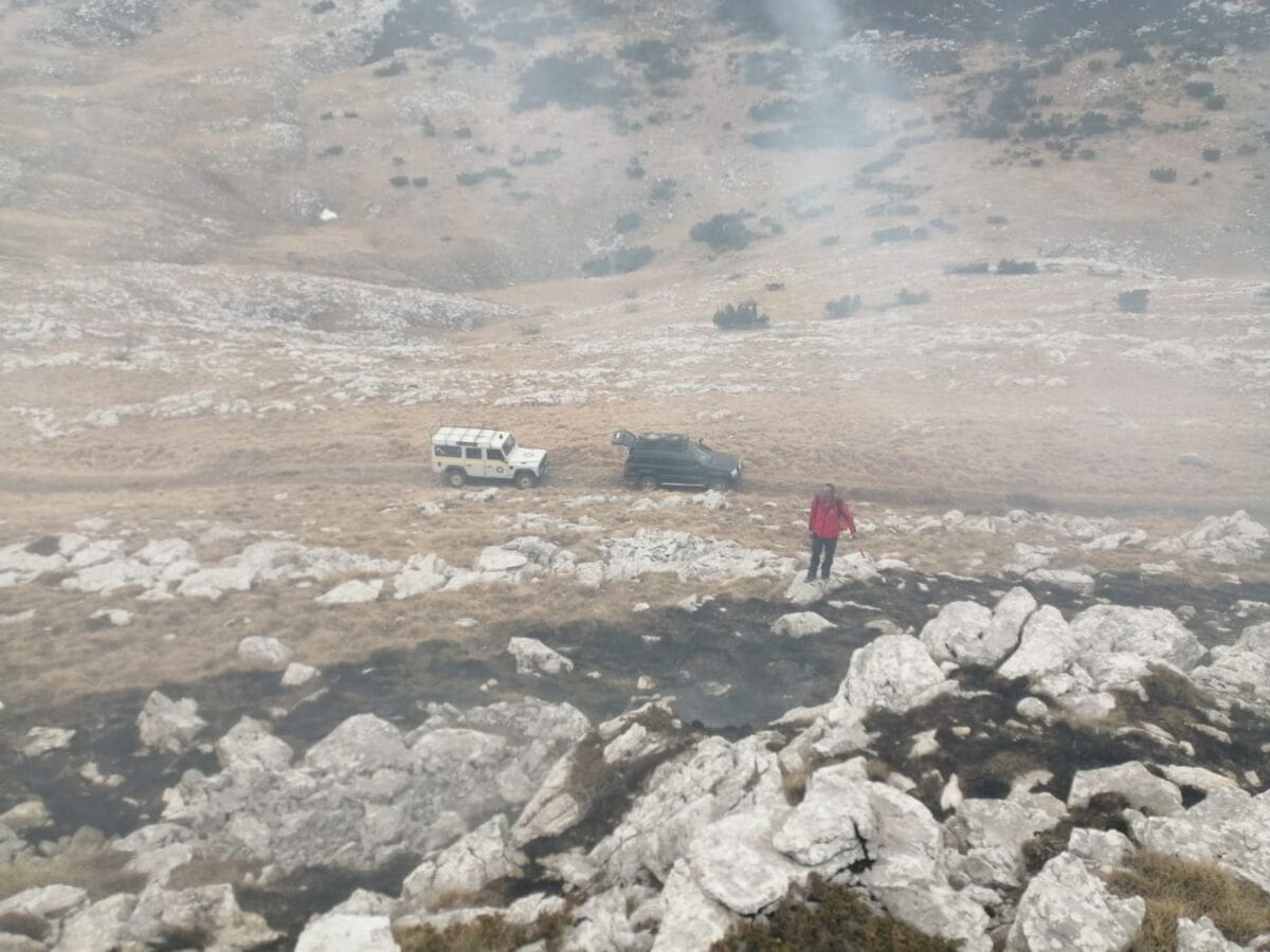 dinara_pozar_1342020_01