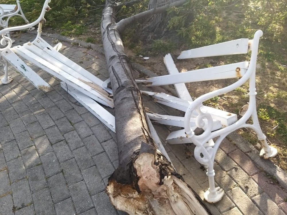 SREĆA U NESREĆI Stablo palo na praznu klupu u Stobreču i razbilo je