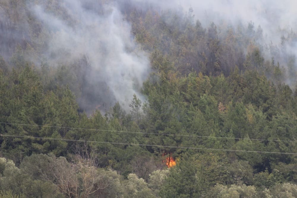 POŽAR NA HVARU: Jaki vjetar otežava gašenje