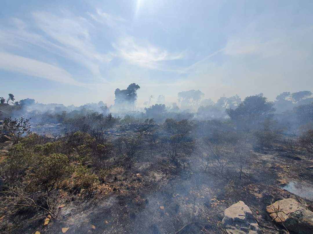 GORI NA ŠOLTI Požar gasi 19 vatrogasaca
