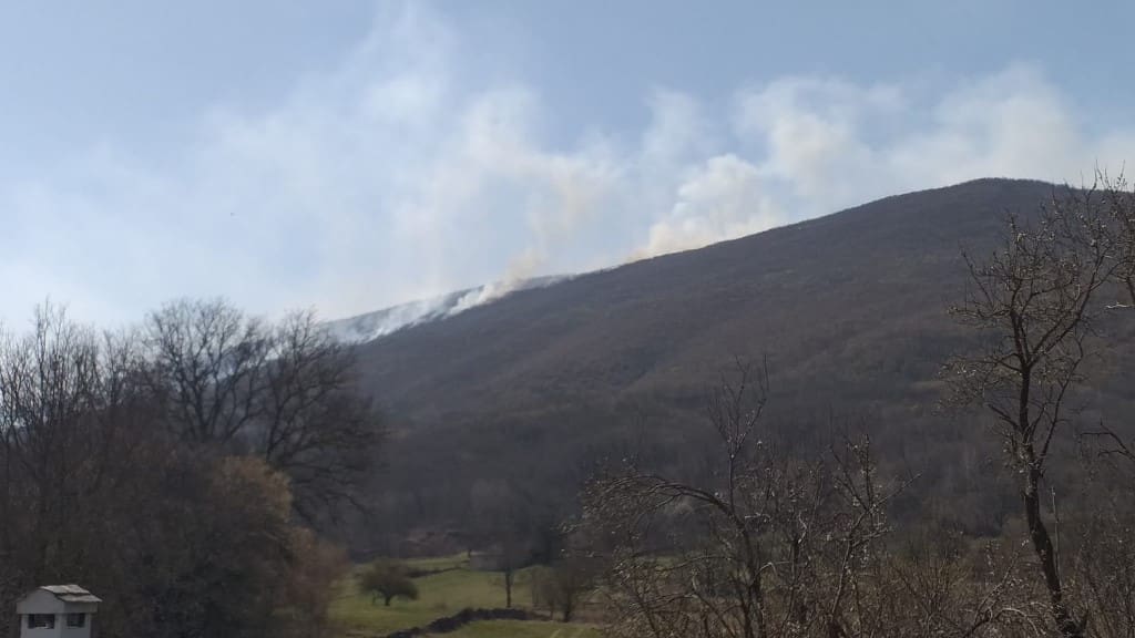 svilaja_pozar_1042020_001 (1)