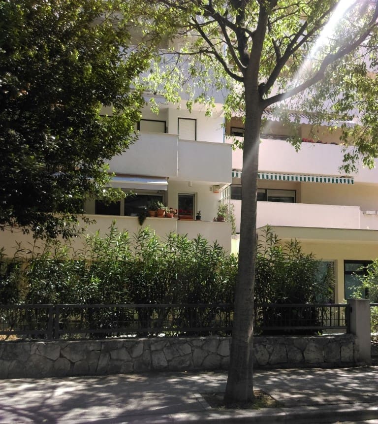 viska_ulica_pelaic(1)