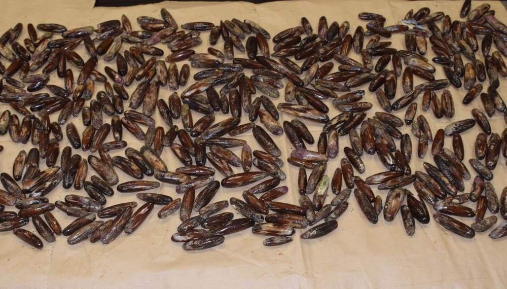 NETKO DANAS NEĆE 'LIZATI PRSTE' Zaplijenjeni prstaci