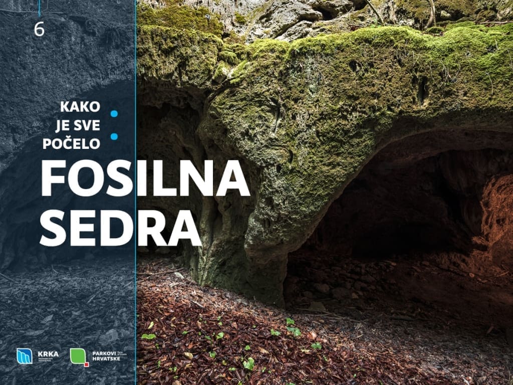 Na području nekadašnjeg toka Krke nalazi se sedra starosti oko 125 tisuća godina