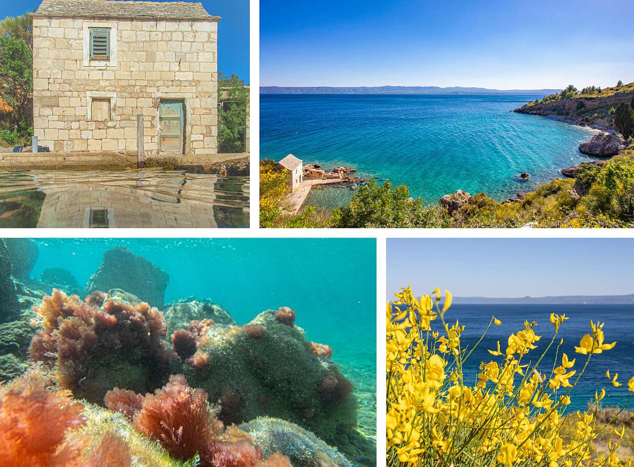 MOŽE LI LJEPŠE? Bračke kartoline: Tirkizna boja mora, kristalno čisto nebo i brnistra