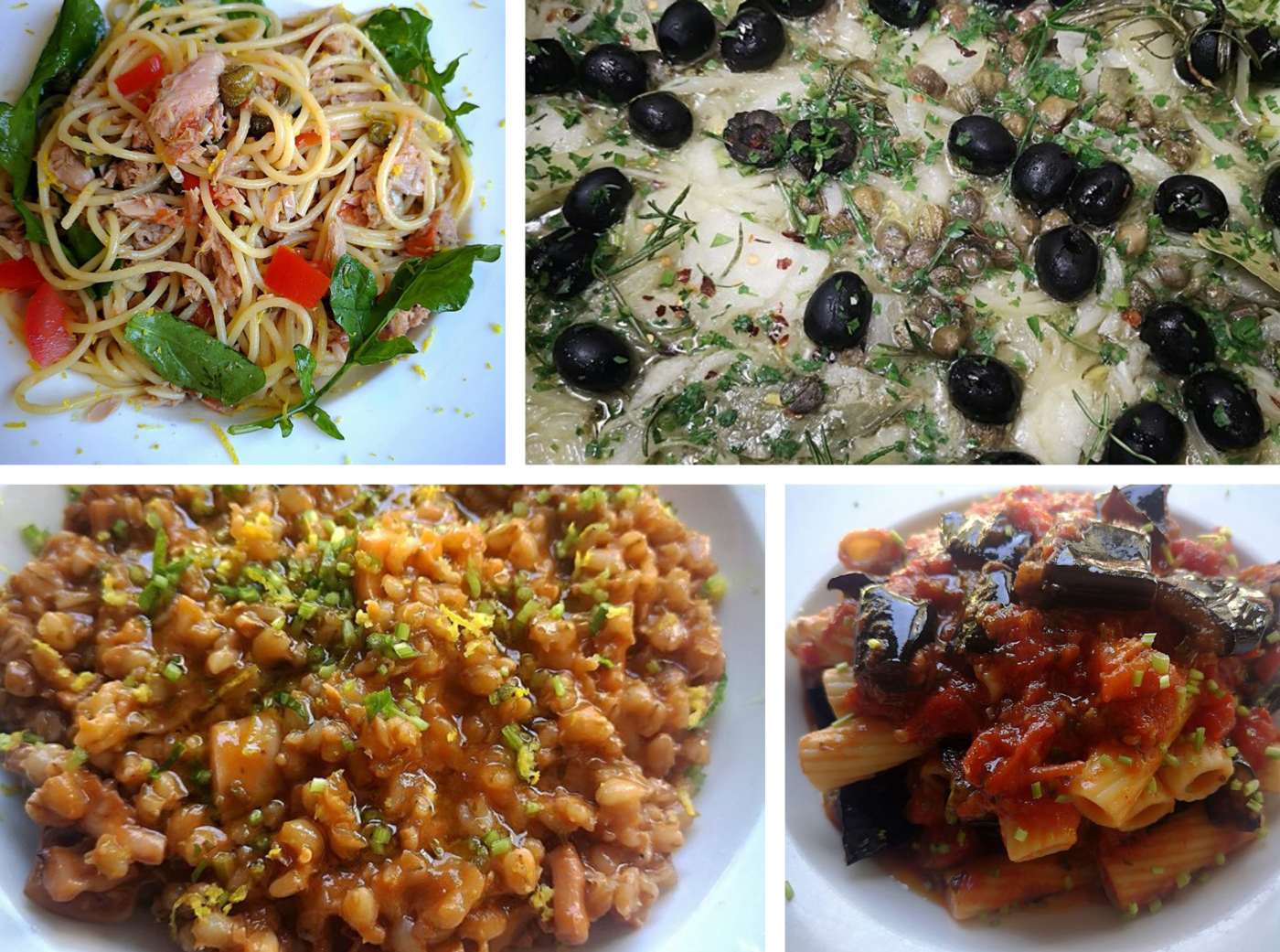 BISTRO ĆIBA OTVORIO VRATA Dnevno svježe pripremljeni ručkovi: 10 posto popusta na redovne cijene za narudžbe na ponistru!