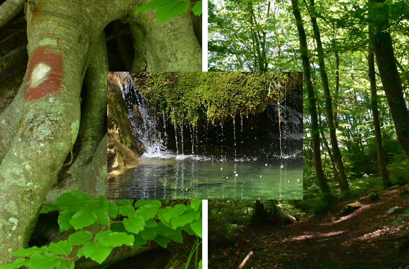 BISERI CETINSKE KRAJINE (1) Jeste li ikada posjetili zaštićeni krajobraz kanjona Sutine