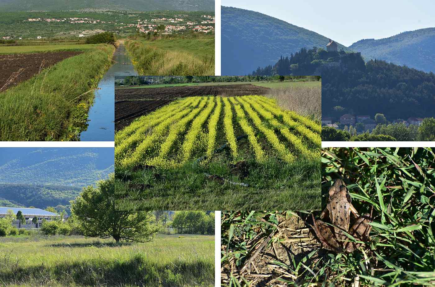 Od danas prestaje moratorij, poljoprivredno zemljište mogu bez ograničenja kupovati stranci! Čeka li nas isti scenarij kao i sa stambenim kvadratima?!