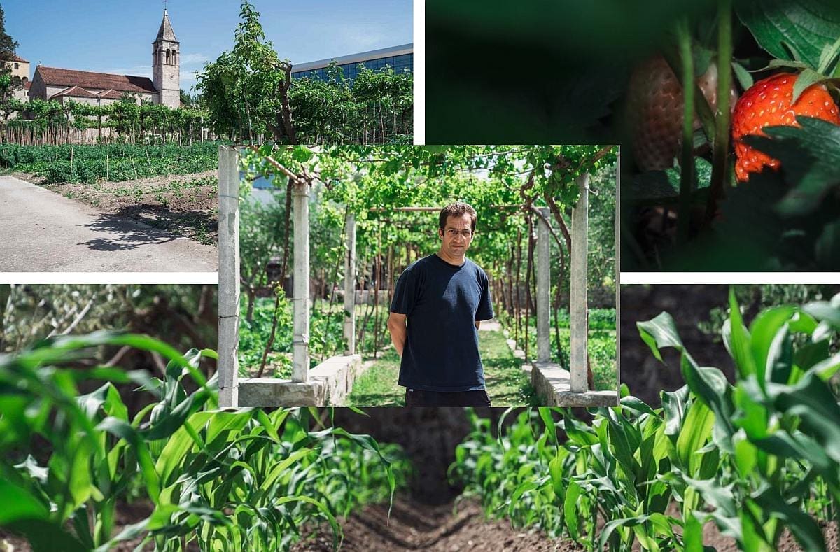 "RAJSKI" VRT SAMOSTANA SV. ANTE NA POLJUDU: "Nitko nam ne može platiti zadovoljstvo s kojim uzgajamo voće i povrće"