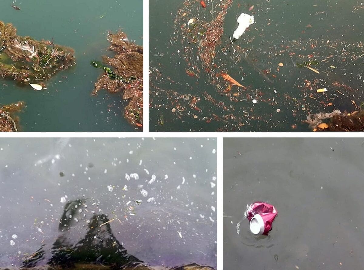 UŽASNI PRIZORI IZ VRANJICA More puno onečišćenja: Od ambalaža pića do fleka ulja