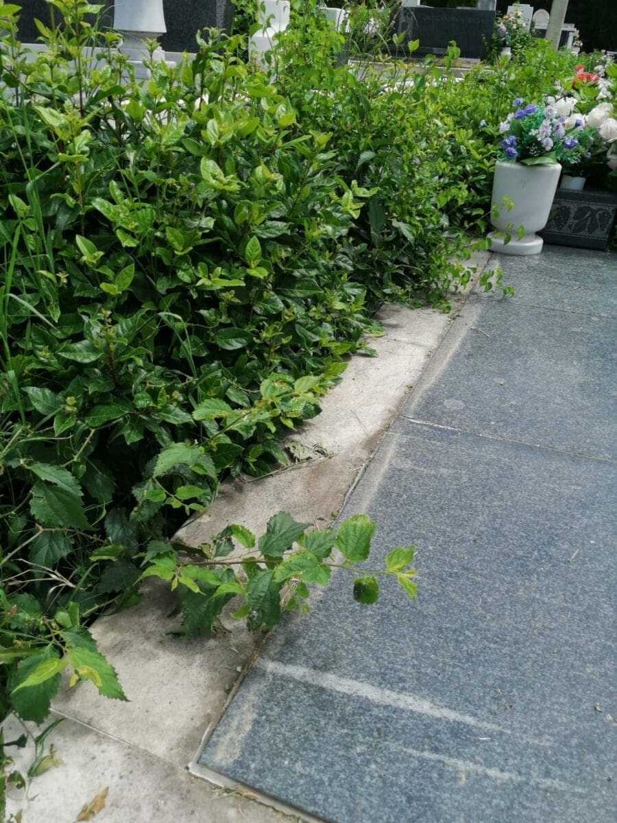 zrnovacko_groblje_004