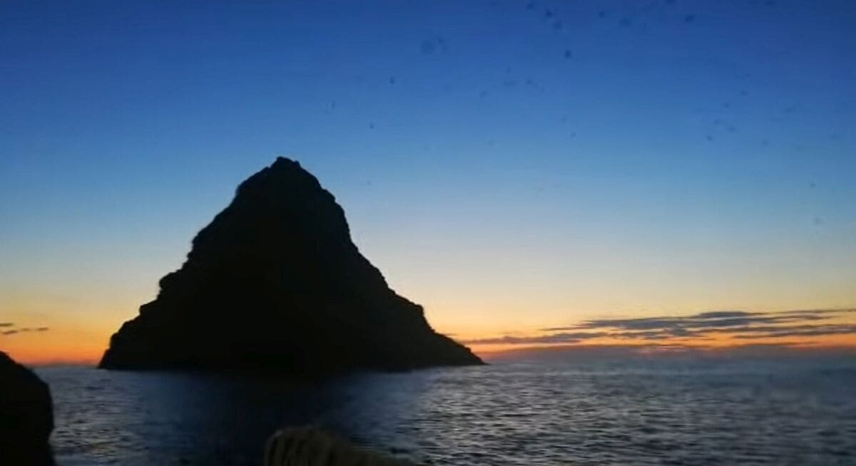 ZORA OD "MILIJUN DOLARA" Ovako izgleda svitanje uz otočić Jabuku uz tisuće galebova