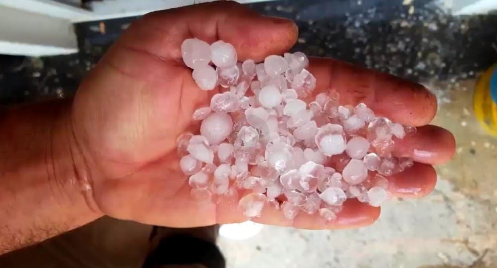 marko-urlicic-cisla2