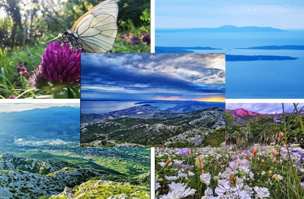 Vikend reportaža s Mosora: Ljubljan je jedan od ponajljepših vrhova ove planine. Priroda oduševljava