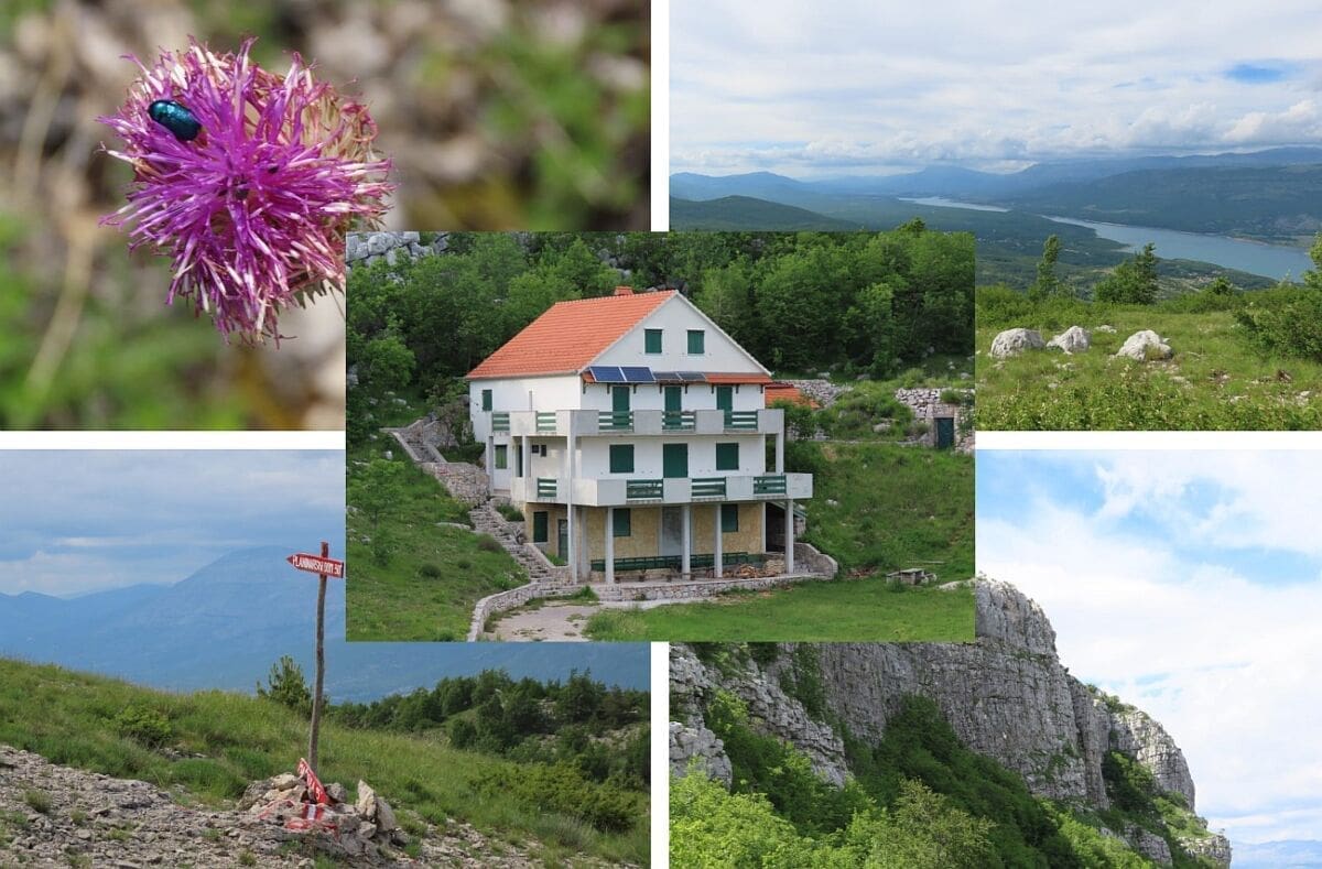 Svilaja je srce Zagore, a planinarski dom "Orlove stine" i priroda u ovom dijelu godine oduševit će izletnike