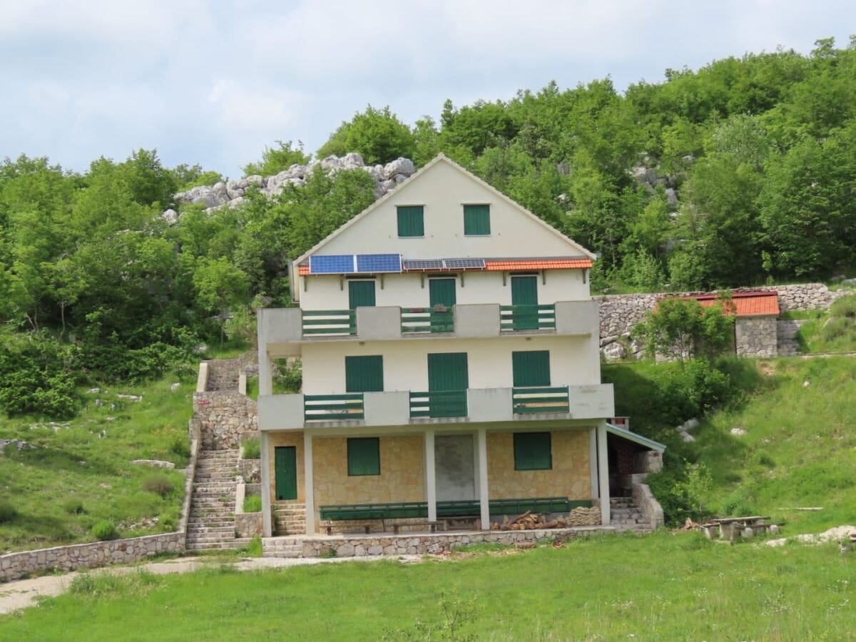 orlove_stine_svilaja01