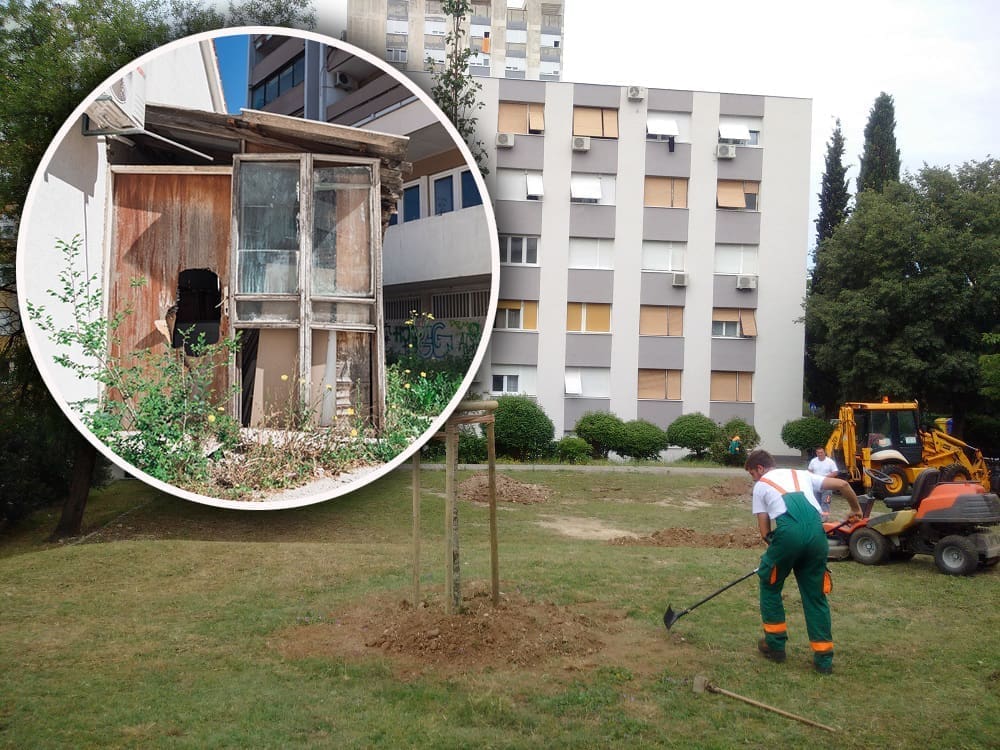 UREĐUJU SE PLOKITE Posađeno pet stabala u Iločkoj ulici, počela sanacija krovišta Gradskog kotara