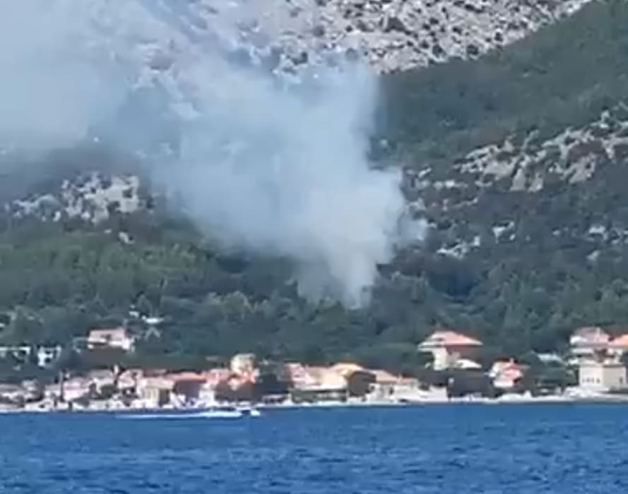 Izbio požar na Pelješcu: Gori borova šuma