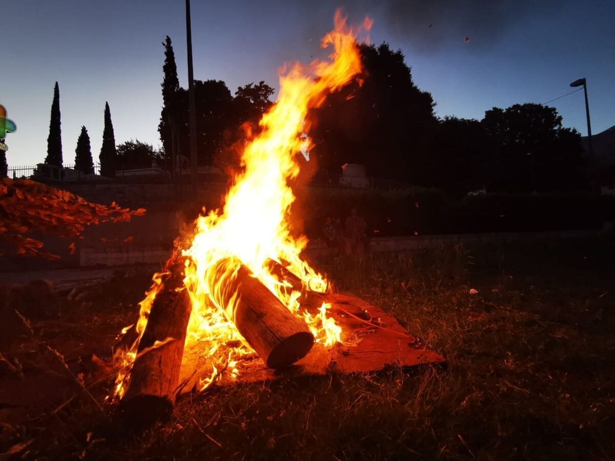 svitnjak_zrnovnica (2)