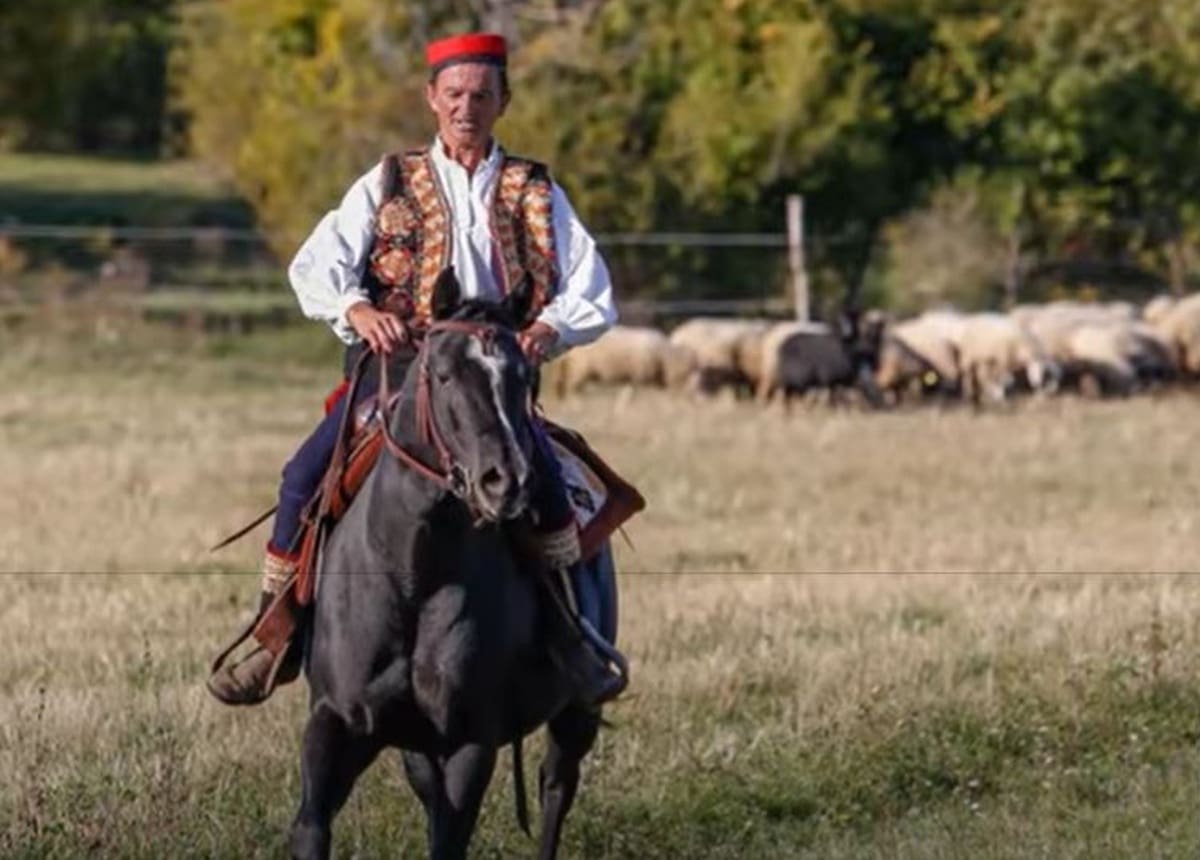 NAJLJEPŠI KOMAD PLANETE ZEMLJE Povijesne, zemljopisne i prirodne ljepote grada Dalmatinske zagore