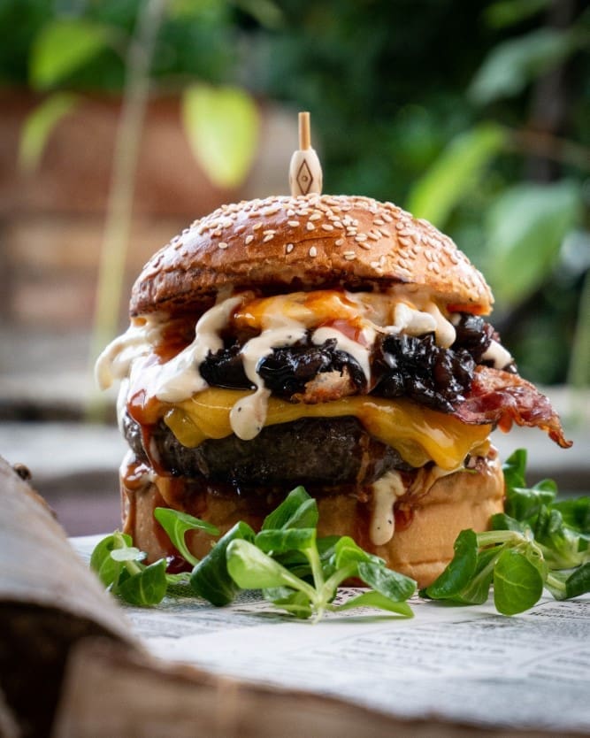 black-agnus-skatula(2)