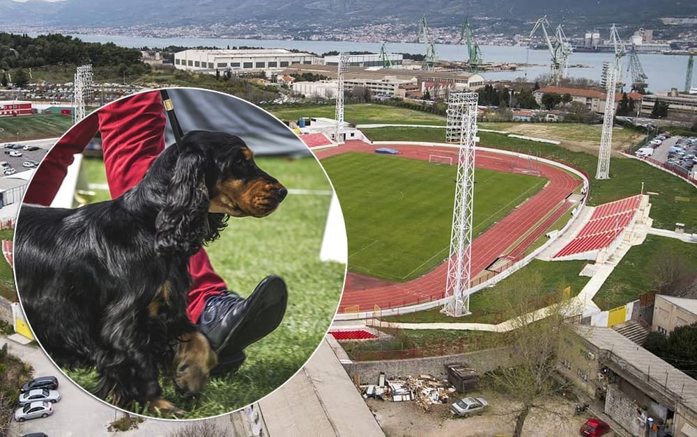 Organizator izložbe pasa u Splitu Ante Lučin: "Postigli smo dogovor s ASK-om, a neistinitim tvrdnjama nećemo pridavati važnost"