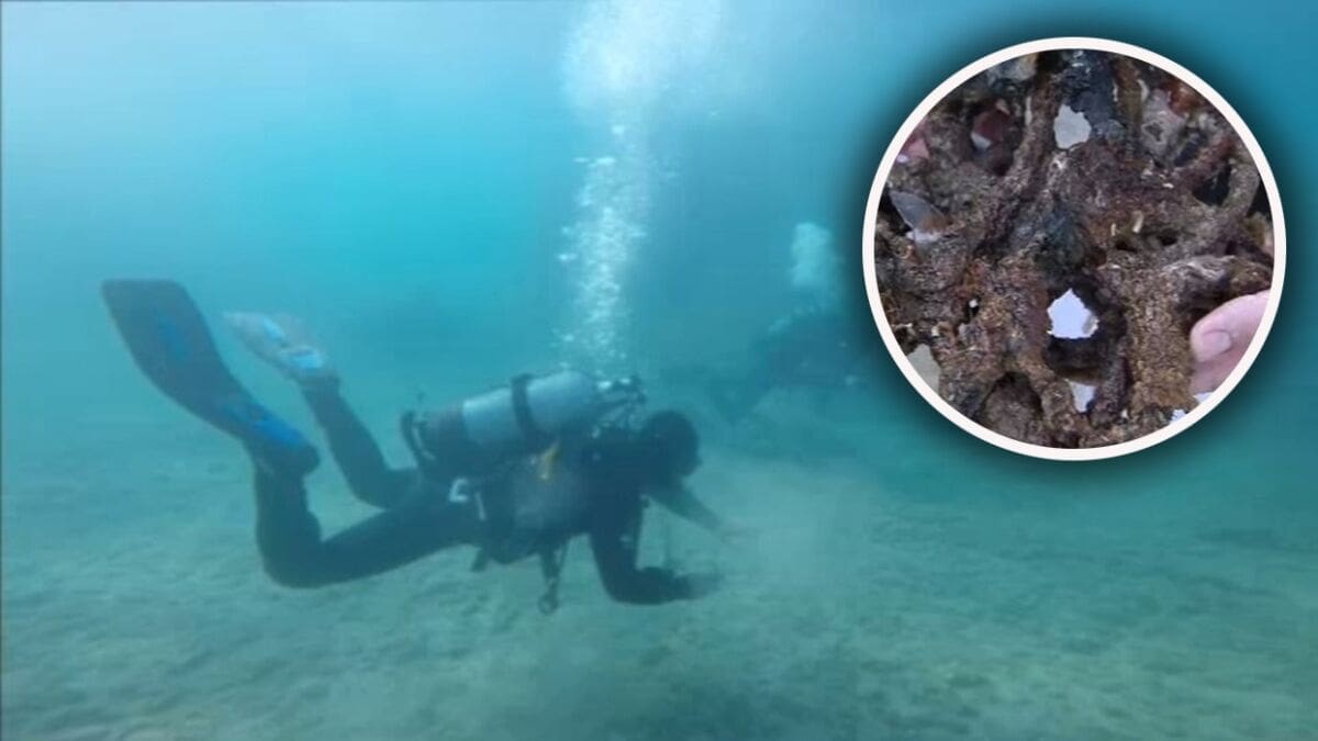 VELIKO OTKRIĆE NA BAČVICAMA Tražili smeće, a pronašli protutorpednu mrežu