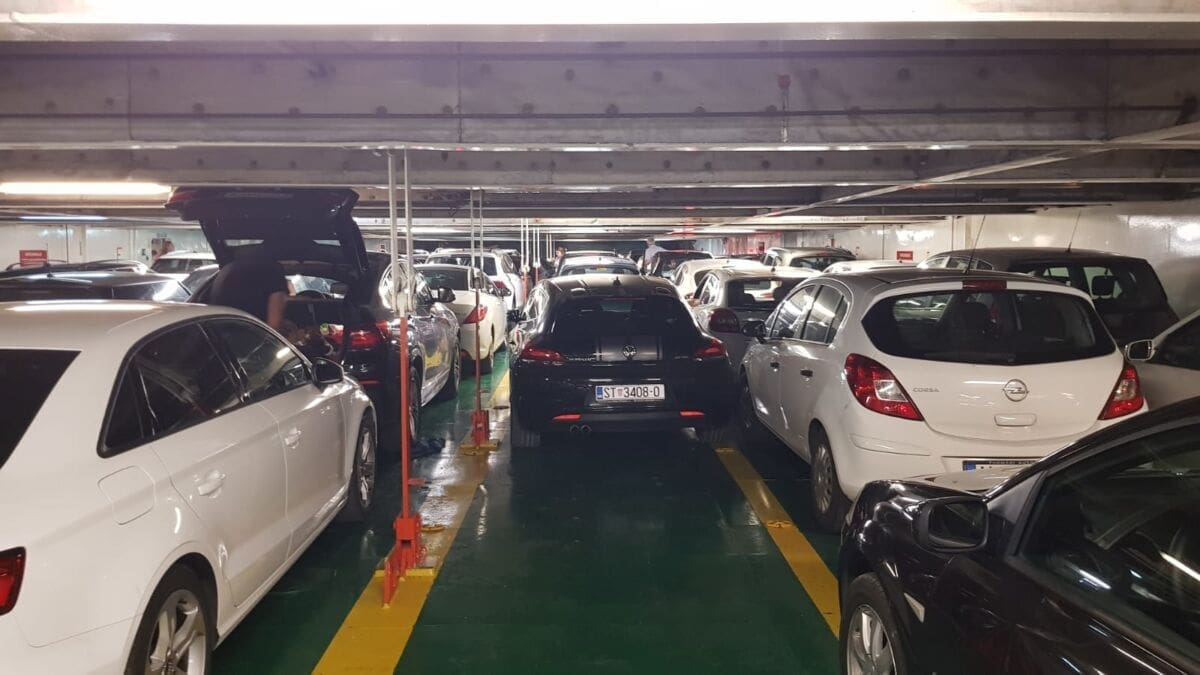 "MISLIM DA SAM VIDIO MICA MACU" Pogledajte sliku s trajekta, nećete vjerovati svojim očima