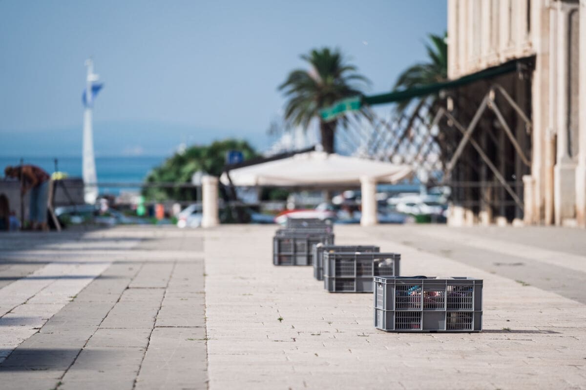 8-1-1000-pepeljuga-prokurative-1