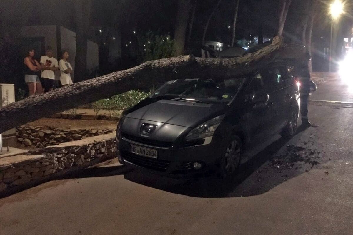 JUGO U DALMACIJI DOSEŽE OLUJNU BRZINU Bor se srušio na automobil u kampu, intervenirali vatrogasci
