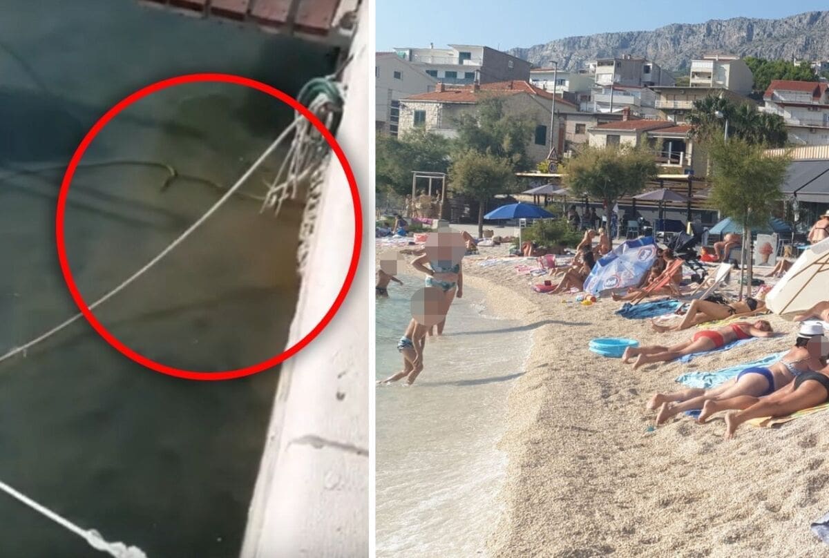 FEKALIJE KOD GLAVNE PLAŽE U DUGOM RATU "Žao mi je jer se tu kupa i puno djece"