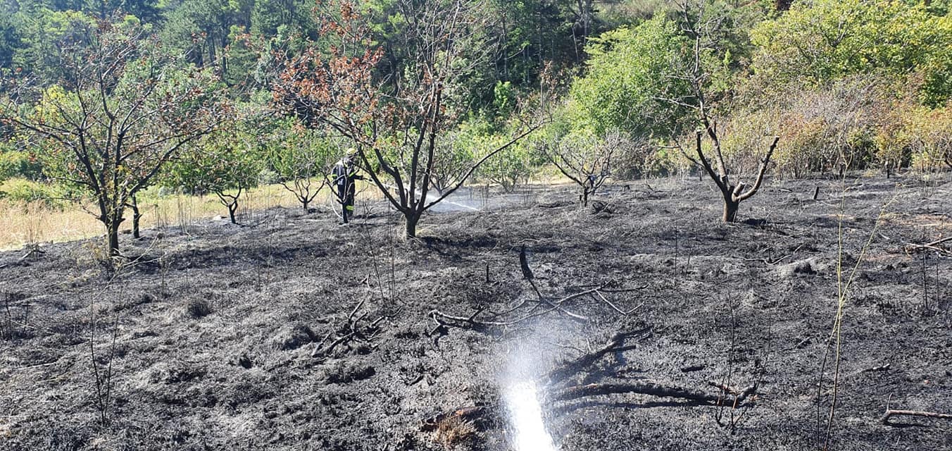 U požaru kod Podgore izgorjelo oko tisuću kvadrata trave i niskog raslinja
