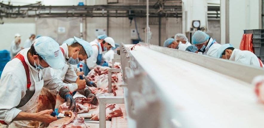 VAJDA - NEKAD DESETA, DANAS PRVA "Uspjeli smo, iako nisu svi vjerovali u to!"