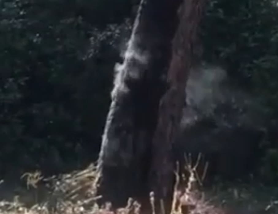 Zabrinuti građani mislili da je udar munje aktivirao požar na Marjanu. Provjerili smo s vatrogascima o čemu se radi