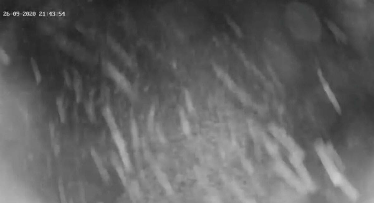 PREDIVNI PRIZORI Kiša na Dinari prešla u snijeg, već se zabijelilo