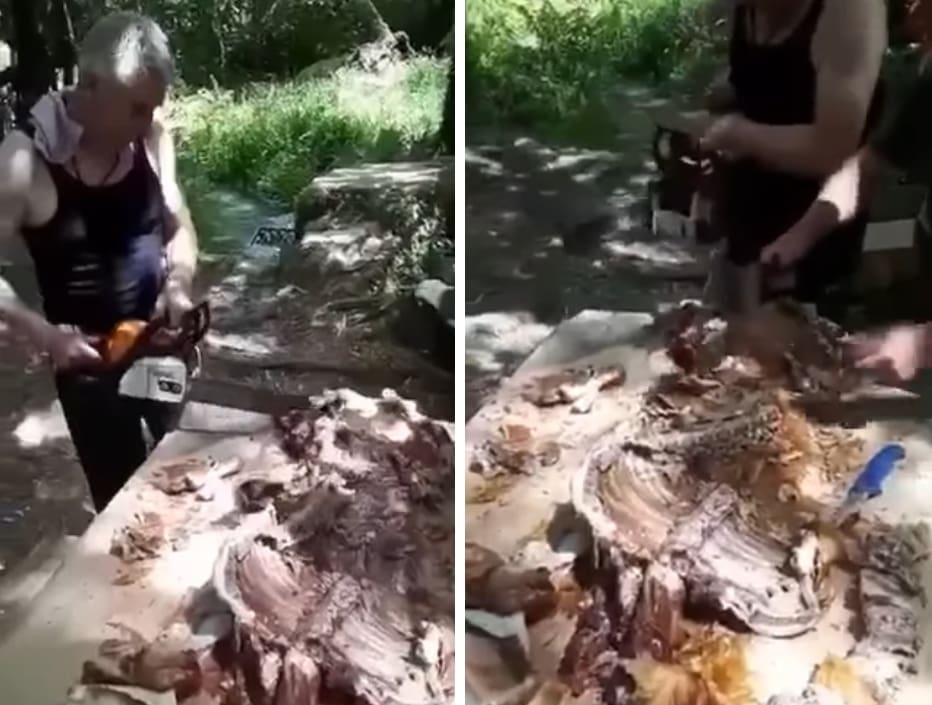 URNEBESNO Video iz zaleđa Omiša postao hit na Facebooku: Pogledajte čime ekipa siječe janjetinu