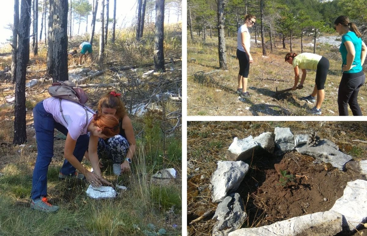 VRIJEDNA AKCIJA NA MOSORU Pošumljavanje okoliša doma "Umberto Girometta"