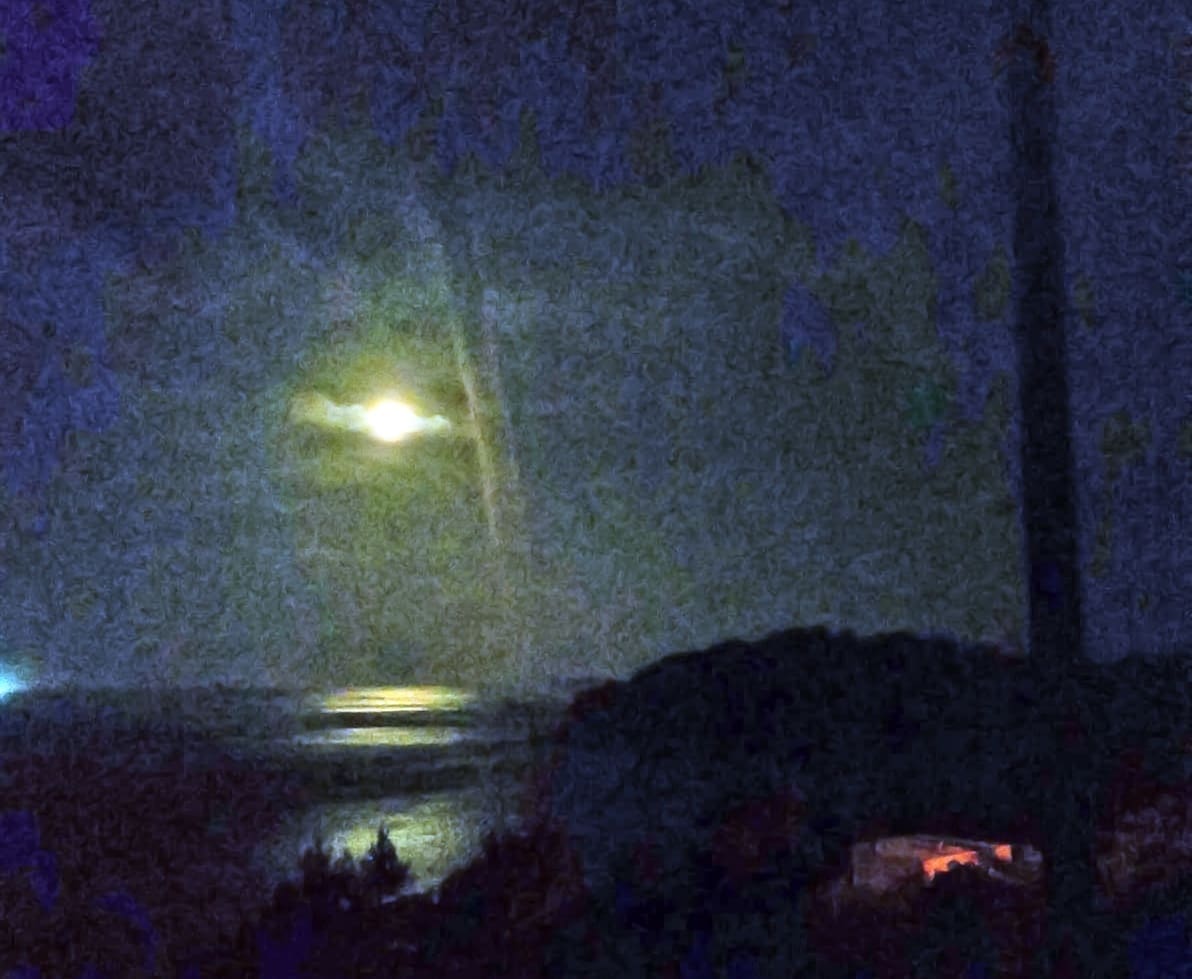 Iznimno rijedak prizor: Pijavica obasjana mjesečinom "plesala" uz obale Korčule