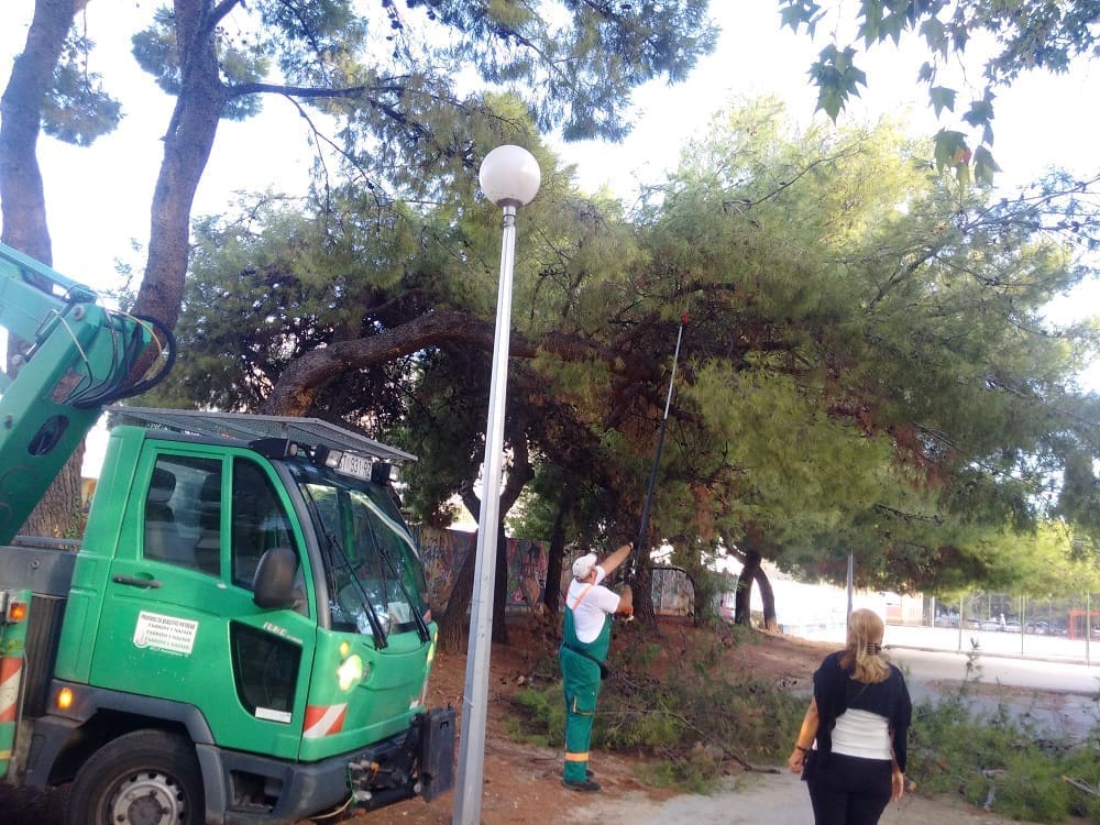 UOČI POČETKA NASTAVE: Uređen okoliš Osnovne škole Plokite