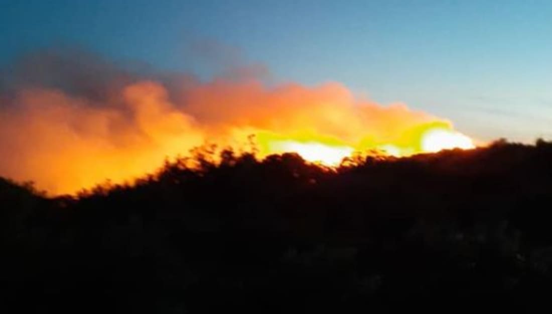 NA TERENU OKO 70 VATROGASACA: Požar na Visu stavljen je pod kontrolu