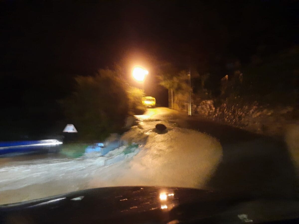 zrnovnica_bujica (1)