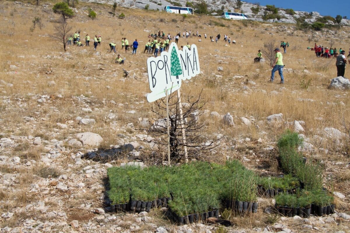 Otkazuje se prvi vikend Boranke, evo koji su sljedeći termini