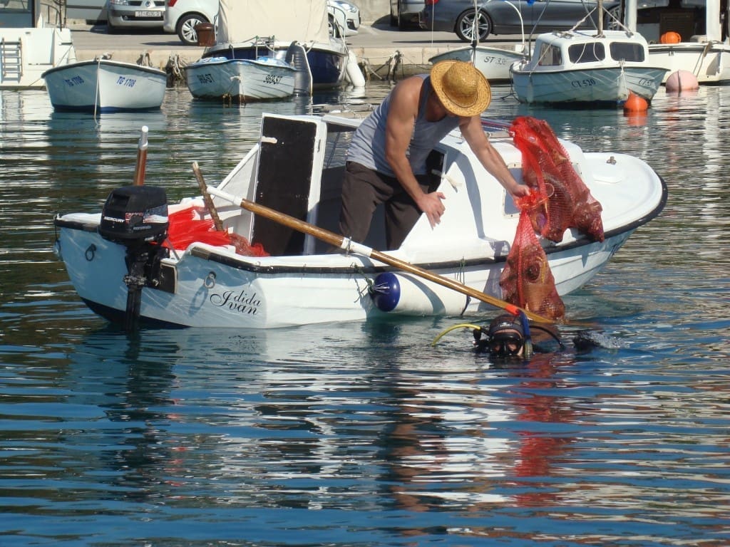 AKCIJA ČIŠĆENJA MORA Očišćeno područje porta u Kaštel Novom