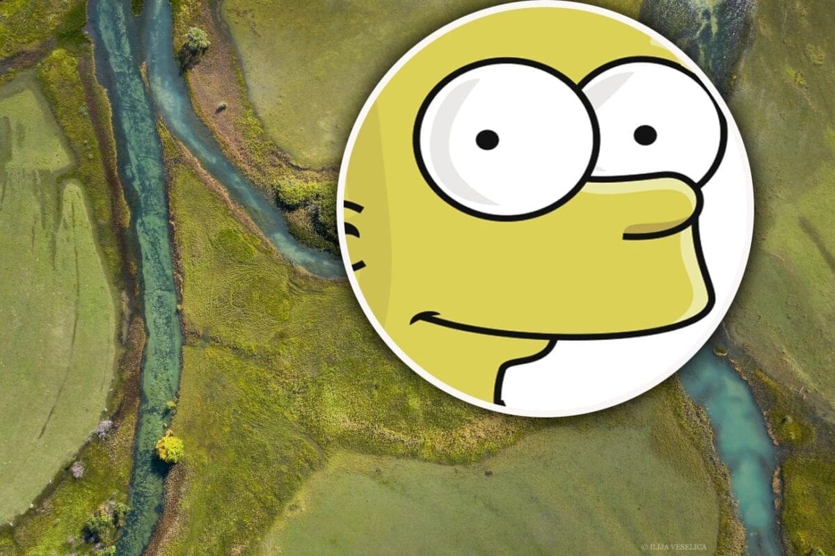 Izvor Cetine posjetili - Simpsoni!