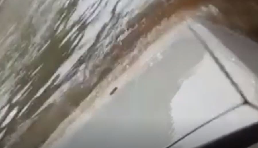 OVO MORATE VIDJETI: Golfom prošao kroz bujicu, voda mu došla do sjedišta