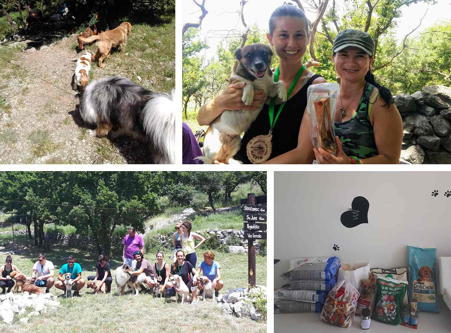 Prošetajte psa i učinite dobro djelo za napuštene životinje: Humanitarna šetnja i utrka ove nedjelje na Perunu