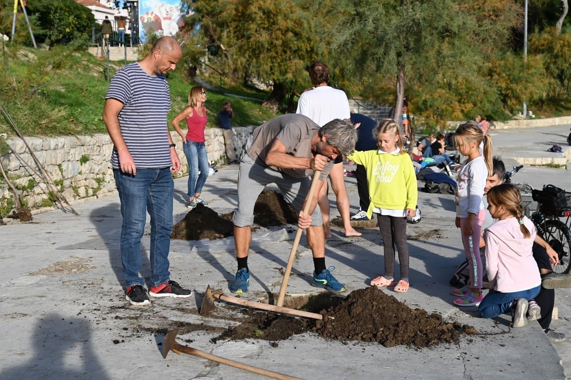 sadnja_tamaris_bacvice01