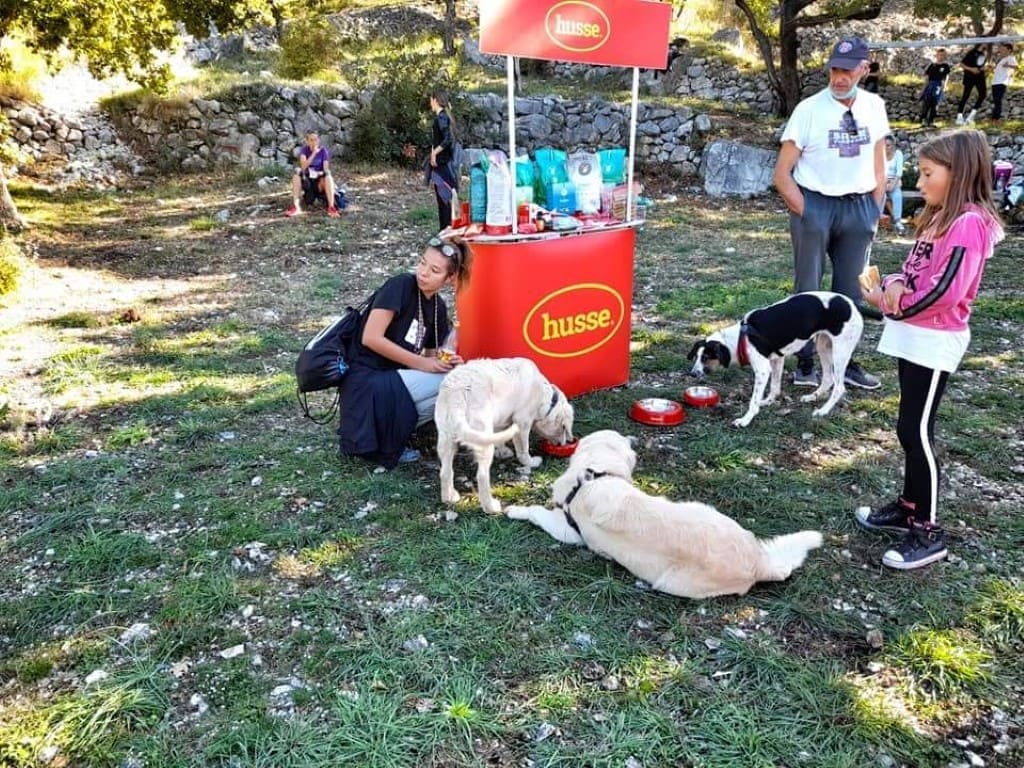 sreca_za_sve_utrka_psi(1)