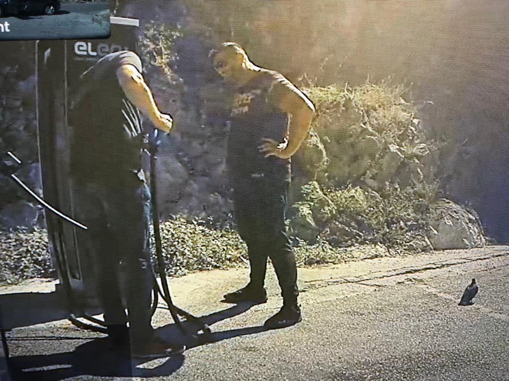 Tesla Motors: "Taxi mafija iščupala punjač električnom automobilu"; Cvetojević: "Kao da brodu odvežeš cimu"