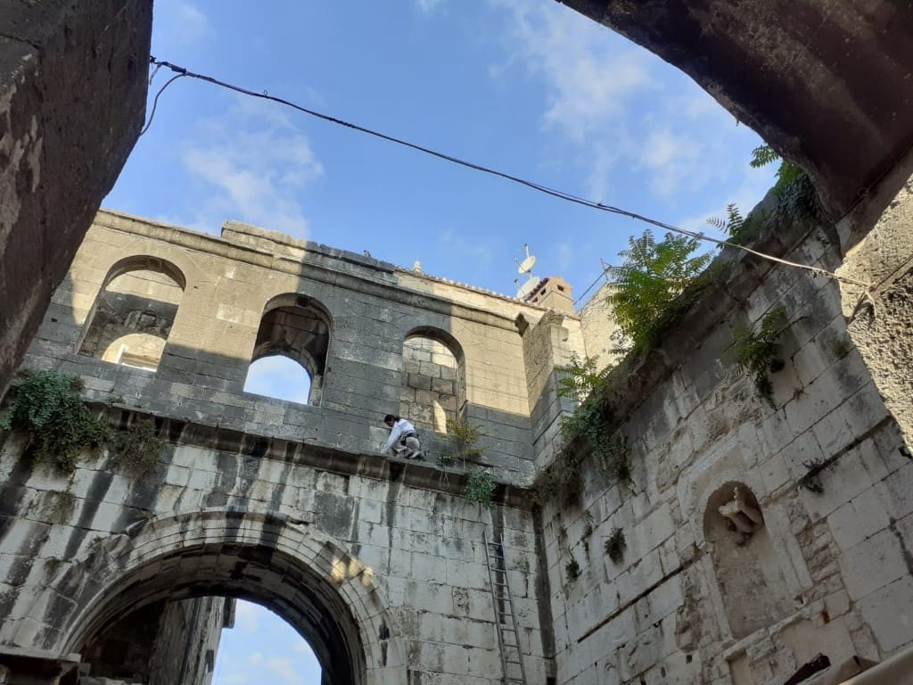 Stara gradska jezgra: Započeli radovi na uklanjanju vegetacije